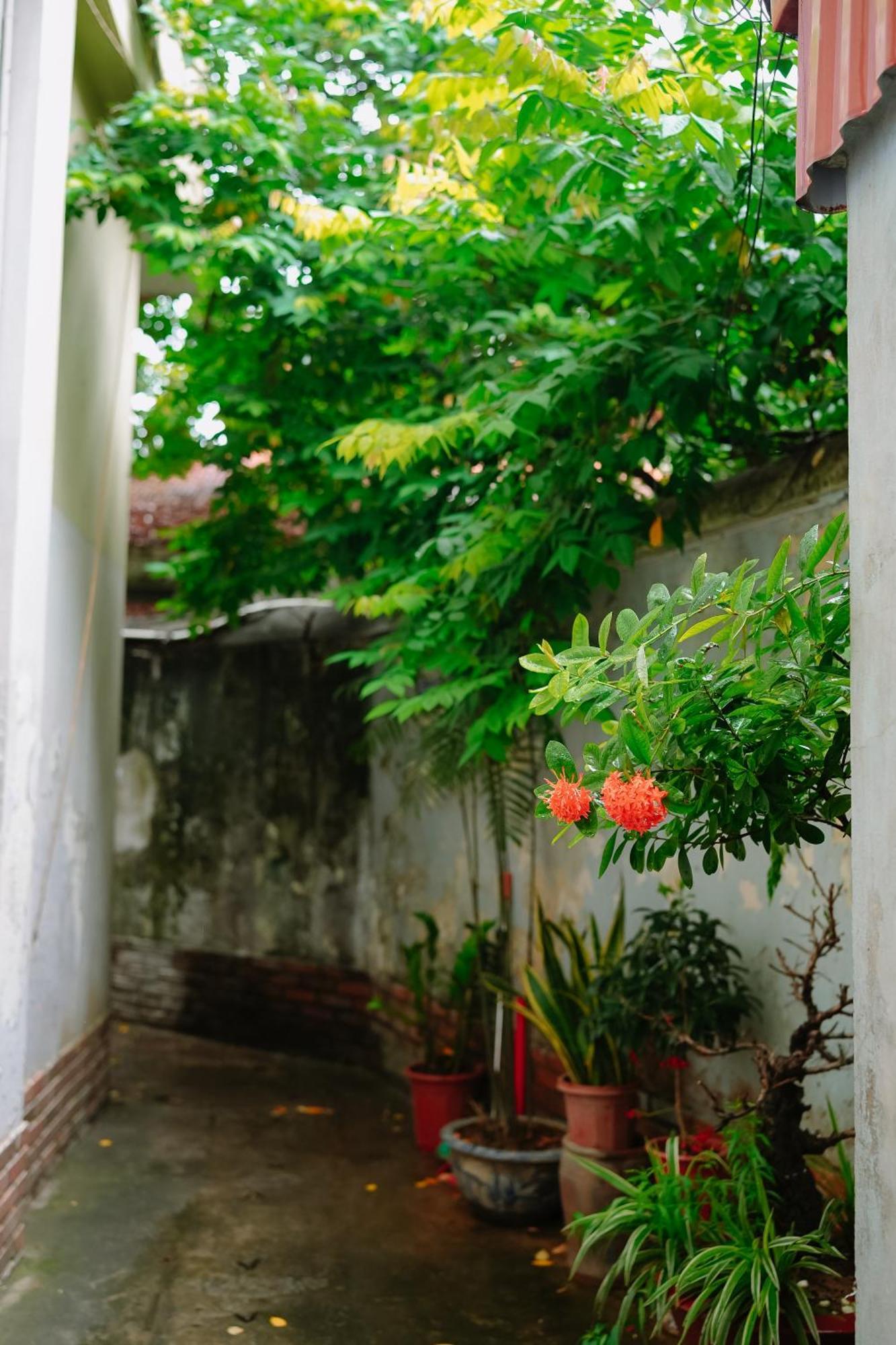 Morri Homestay - Quan Thanh Hanoi Exterior photo