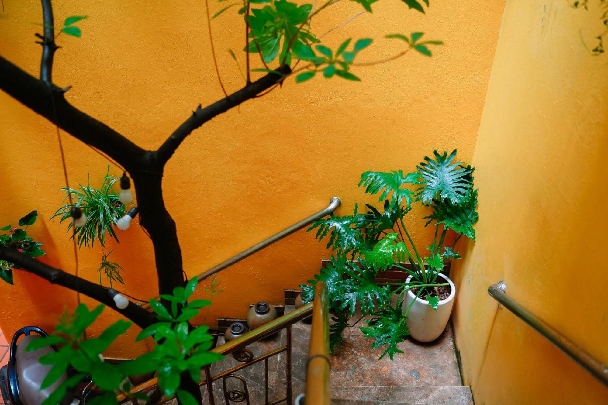 Morri Homestay - Quan Thanh Hanoi Exterior photo