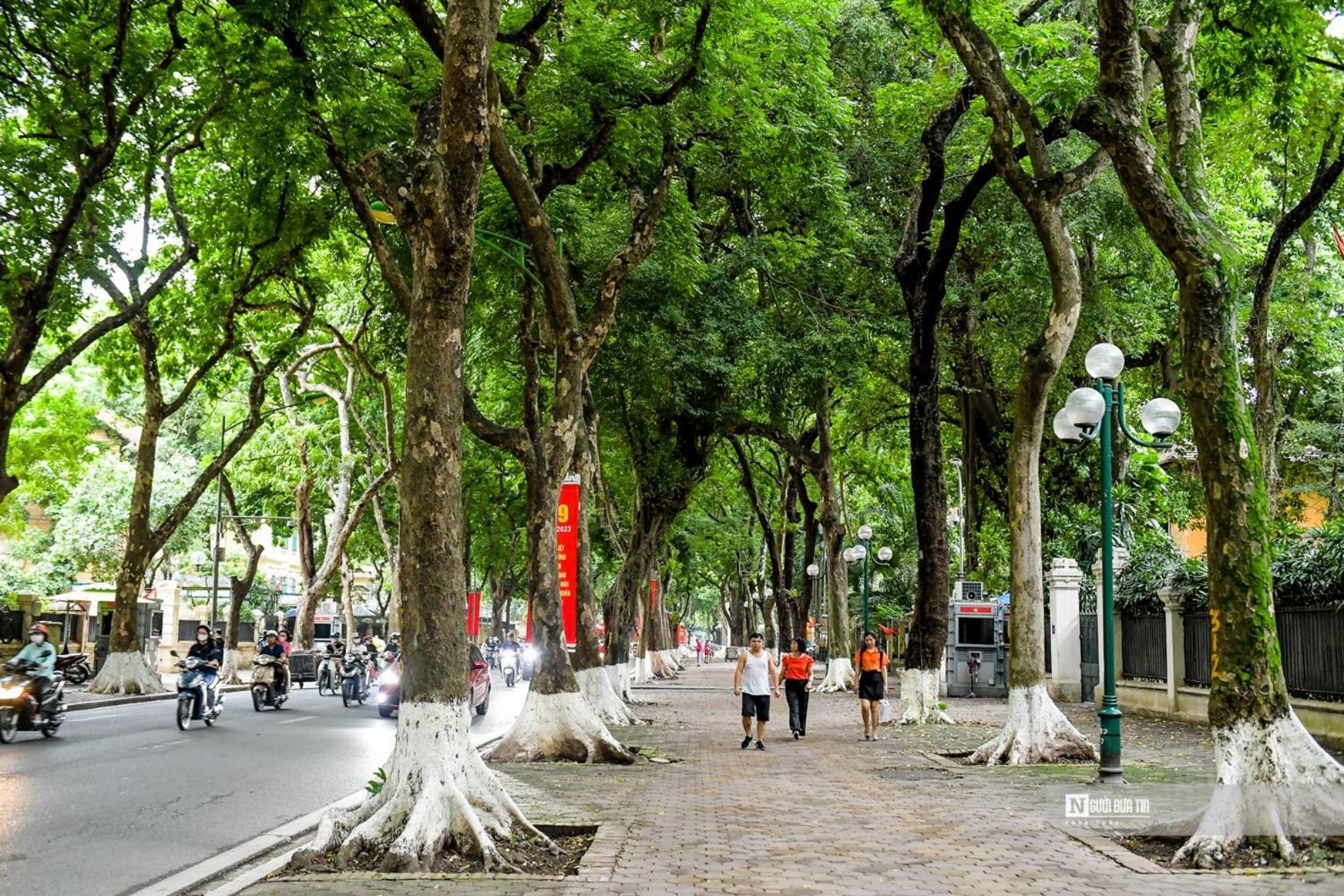 Morri Homestay - Quan Thanh Hanoi Exterior photo